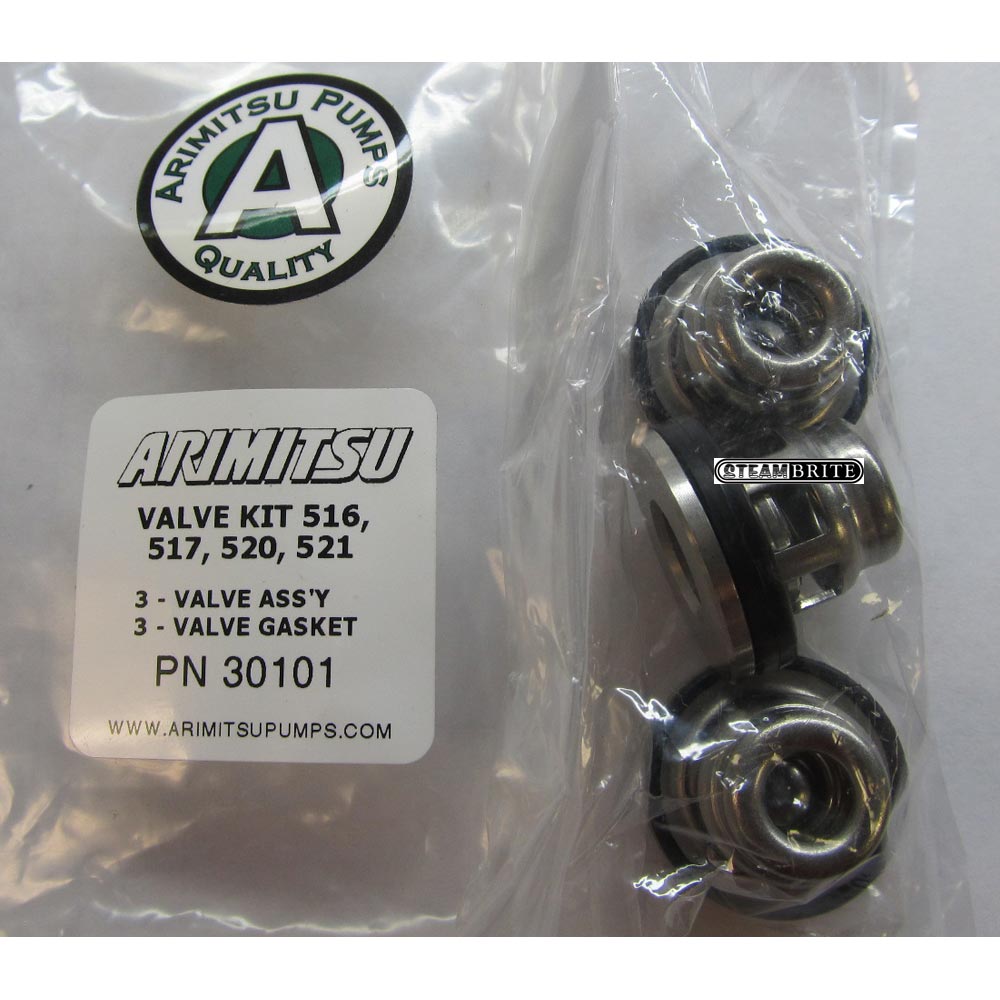 Arimitsu 30101, Valve Repair Kit fits 500 series, all Stainless Steel, 3 valves per kit, 516 517 520 521