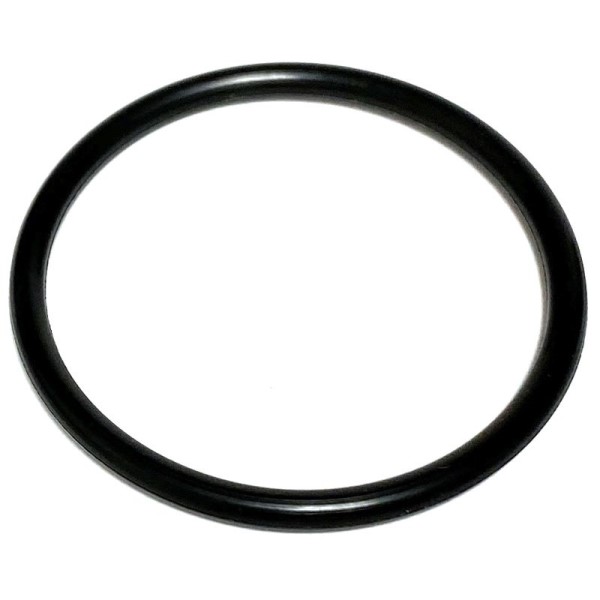 Karcher O-Ring Replacement for Green Cap Filter 8.702-034.0