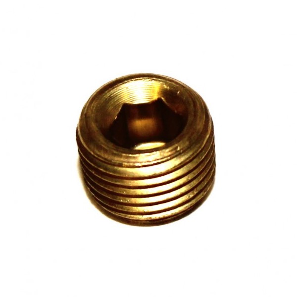 Karcher Brass Allen Head Plug 3/4" 9.803-051.0