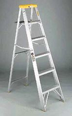 DAV 42806 6 foot Aluminum Ladder TYPE II
